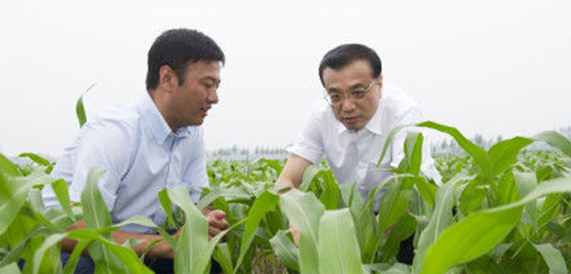 一號文件解讀：中國要強 農業(yè)必須強